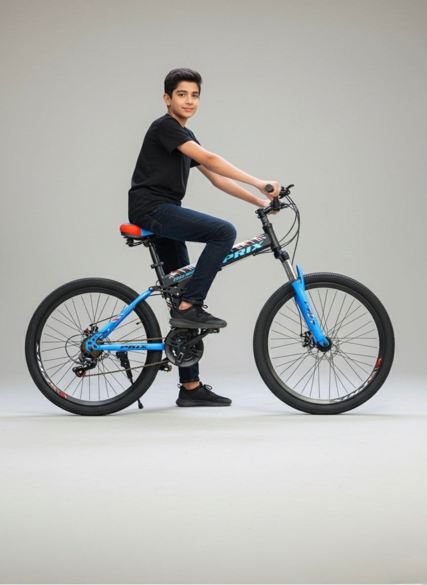 FOLDING BIKE 26