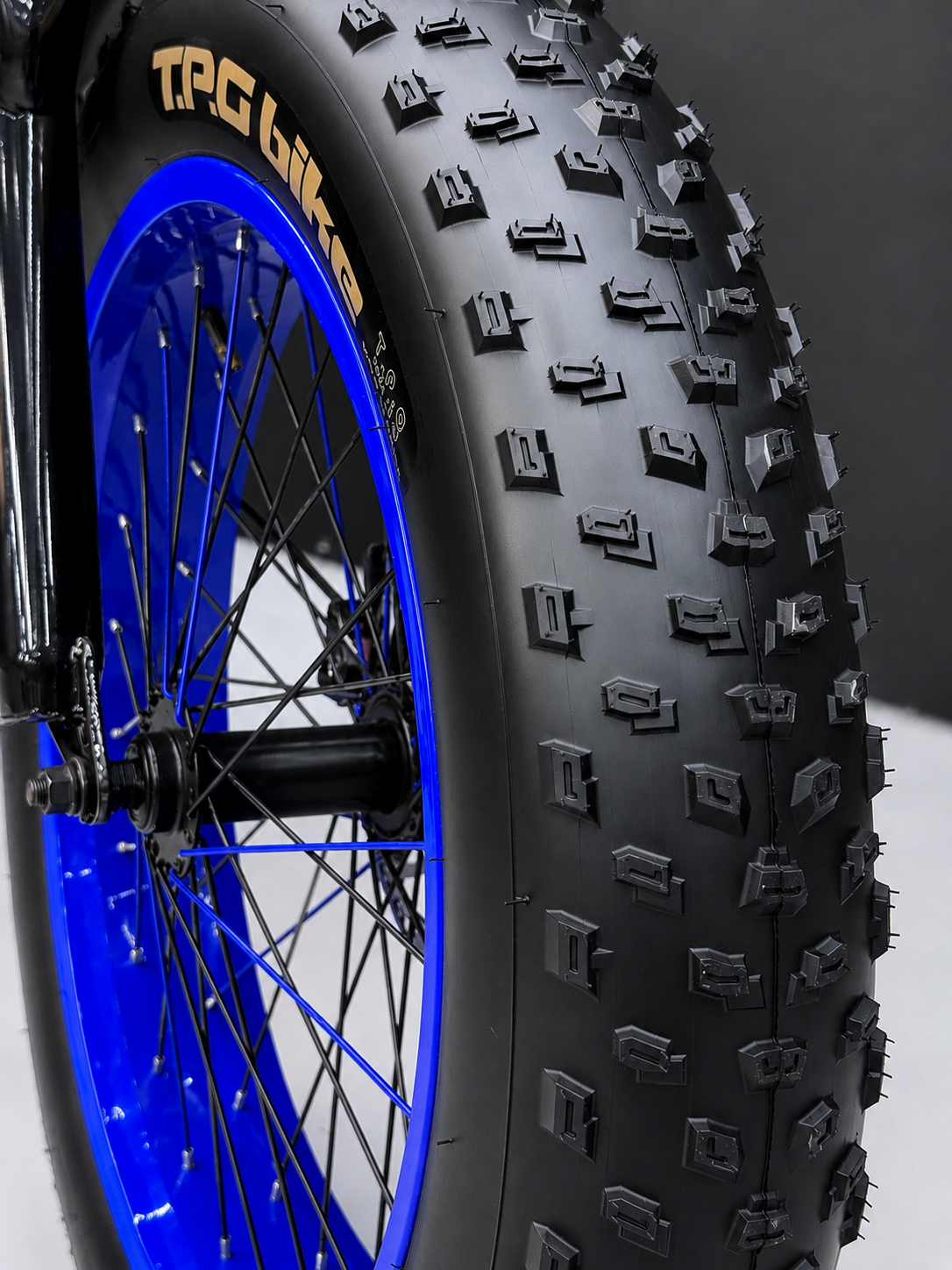 Italiano 20-Inch Kids Fat Bike – 21-Speed Shimano – Disc Brakes – Front Suspension – Front Basket & Rear Padded Seat